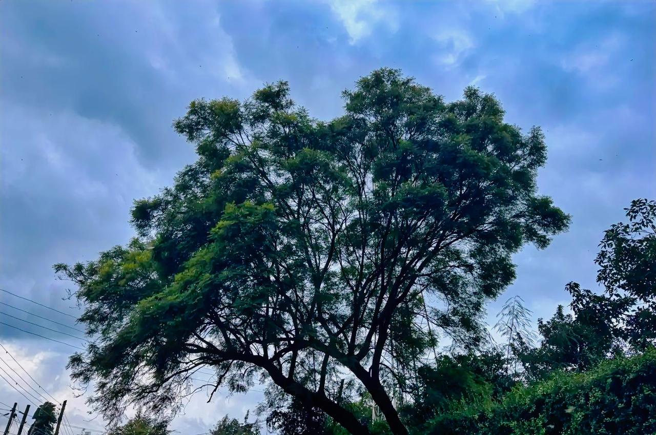 一段通透的话：如何让运气越来越好？，先说一条运气的真相：当你的磁场调频谐振了，全