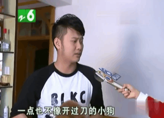 泰迪狗顺产生下小狗 肚却皮缝了针 狗主怒要说法 医生: 去投诉吧