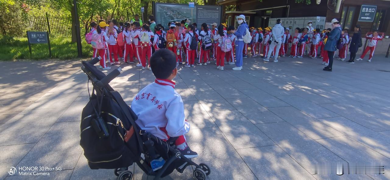 第一次见到了小学生班主任的耐心和爱心。在我心目中，一直以为给小学生