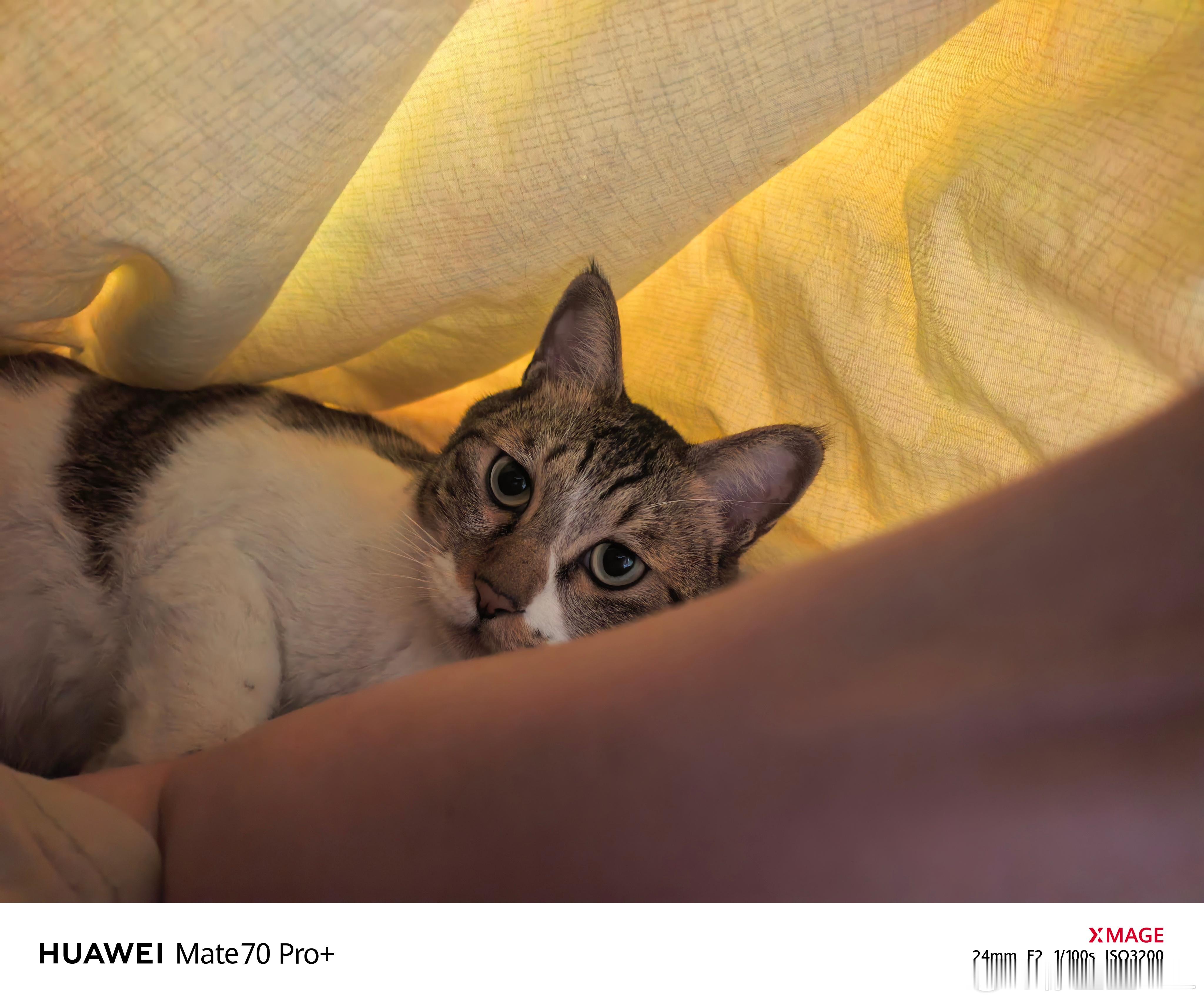 我不赞同大家对曹老师集体口诛笔伐。我跟曹老师也有过节，曹老师曾经把我也拉黑了。但