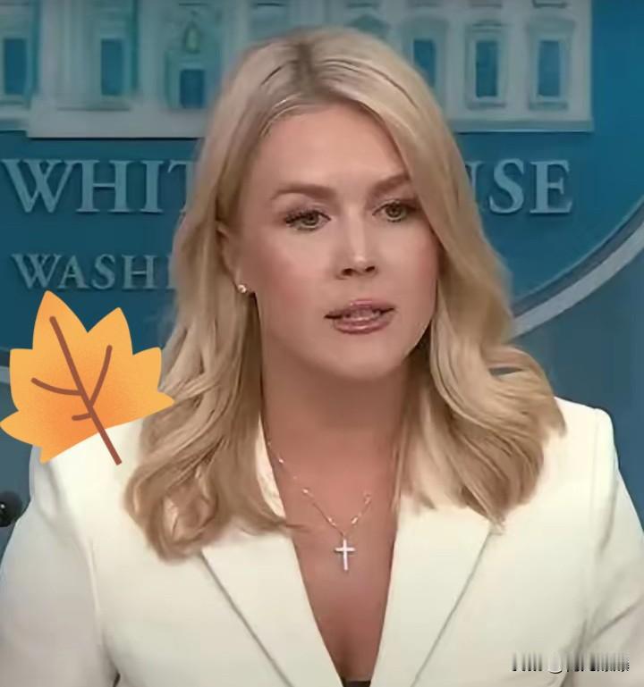 这一次，白宫和那个“喊口号”的邻居，调门终于降下来了。面对咱这次贴脸输出