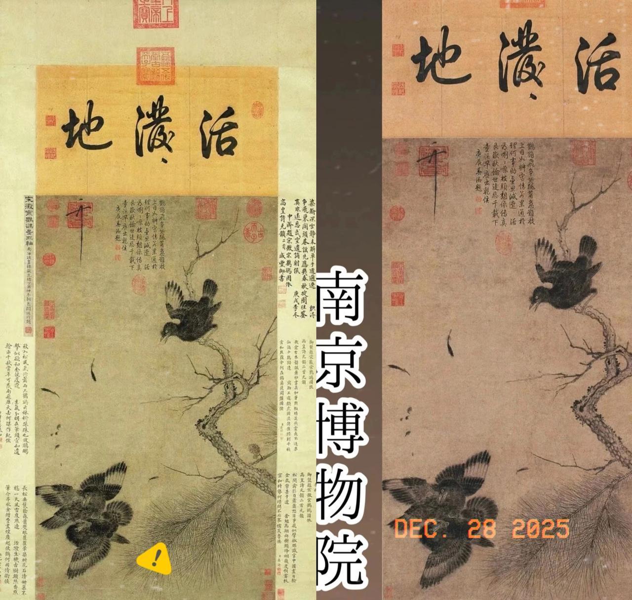 有网友居然爆料，南京博物院把宋徽宗的《鸲鹆图》作价20元给“处理”了！这可是庞