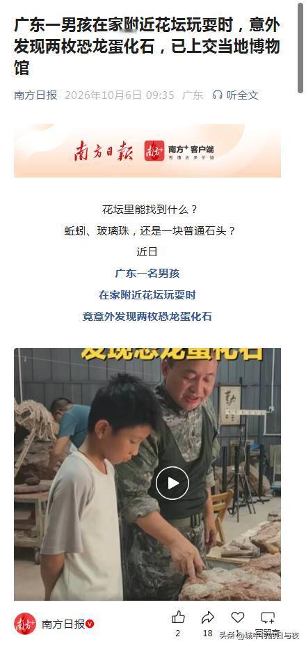怎么广东那么多恐龙蛋化石的感觉