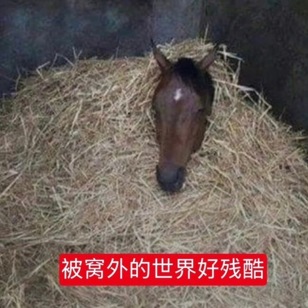 对不起邻居，我没有在装修，我只是活得太累了在撞墙。