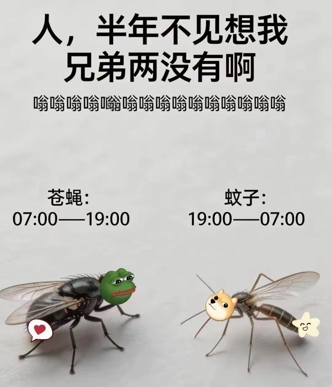 这两兄弟有多少人是深恶痛绝？哎，可惜，马上就要联袂上场了…好哥们的情谊兄弟合