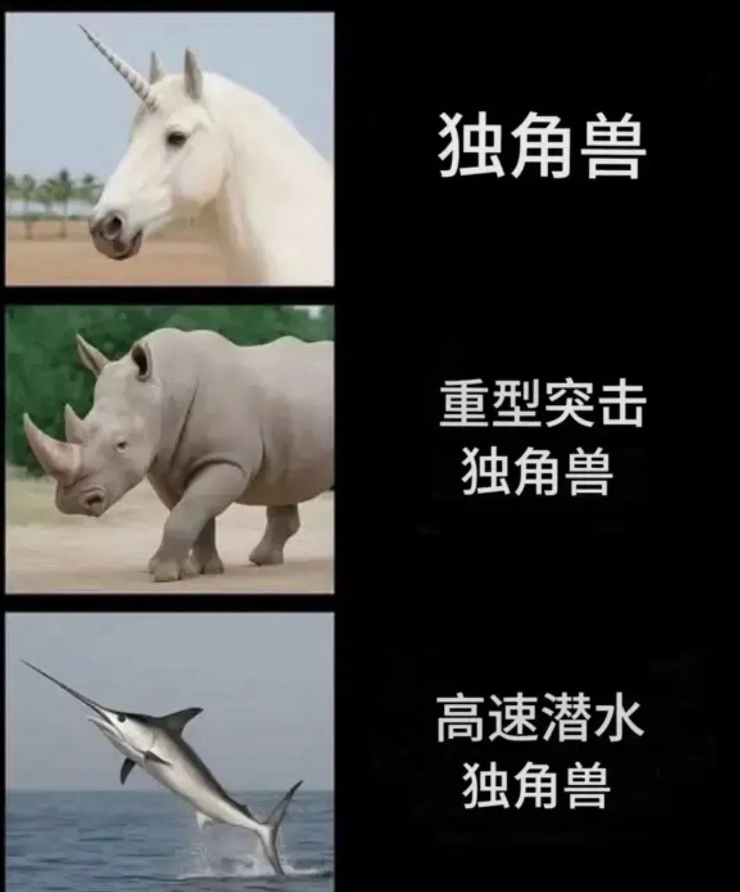 基础款竟然没有​​​