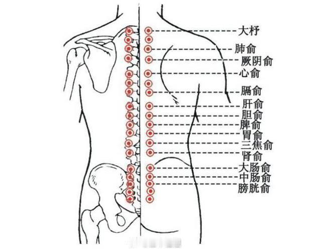 在下最近在撞背，想给大家分享点小技巧，撞背功用的好会成为自己贴身养生医生。其实很