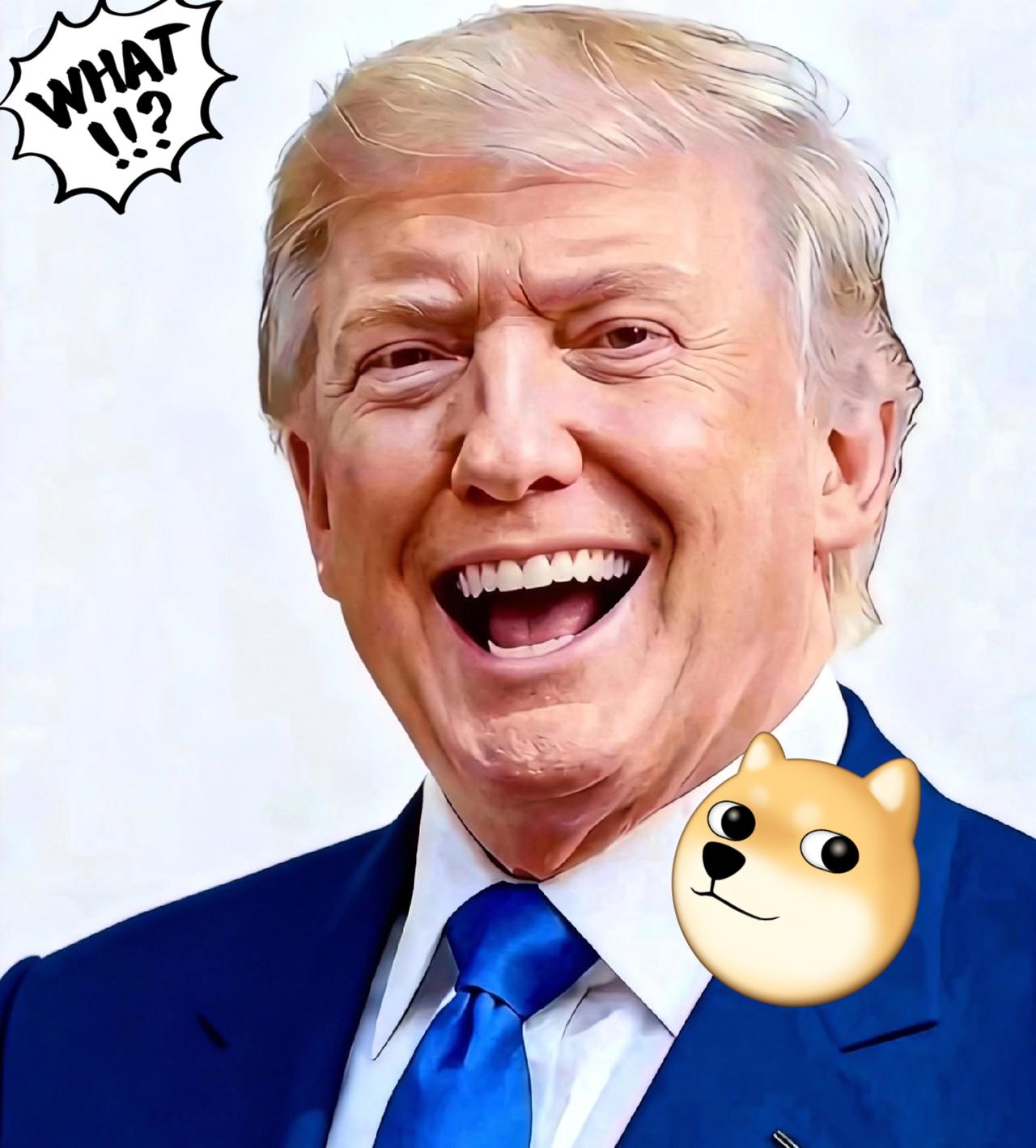 美国消息12月13日，美国加利福尼亚州联合纽约、马萨诸塞等20个州，一起在波士