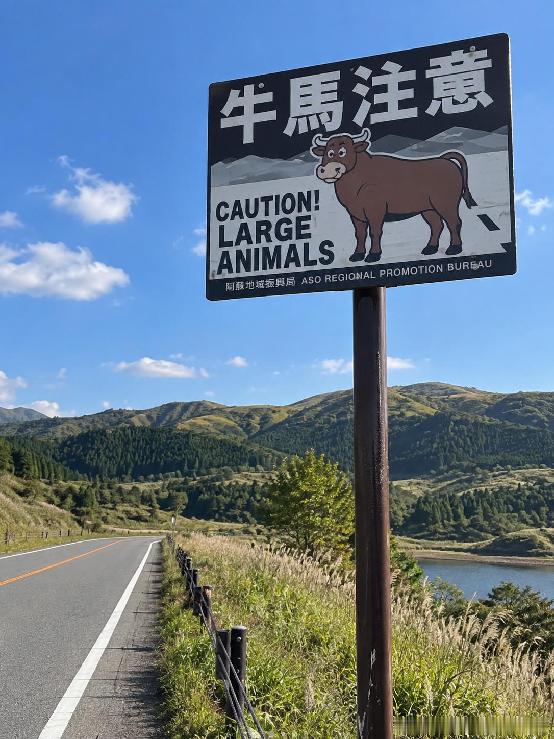390《牛马注意》啊哈哈哈哈哈哈哈哈哈​​​