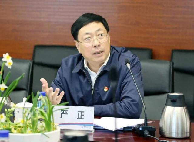 福建省政协经济委员会原副主任严正落马