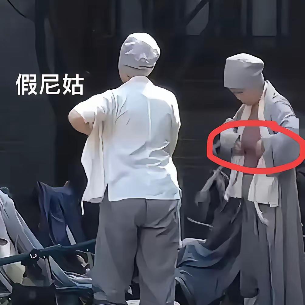 以前我们听说的尼姑，是那种来破红尘不问世事，一心想要清净，她们是真的出家。