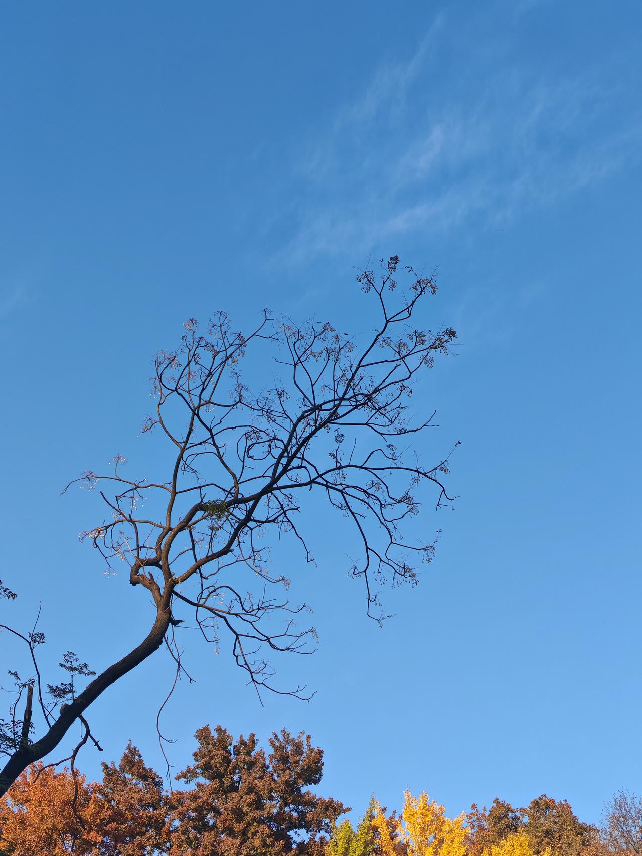 事情是这样的，面条厂的挂面机经常坏，老板就买了车床修挂面机，后来听说造飞机的机床