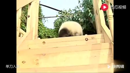 14930677044987069902.jpg?id=0