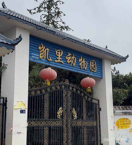凯里动物园藏深山出圈: 长期亏损, 为何动物们却长得“白白胖胖”丨动静深度