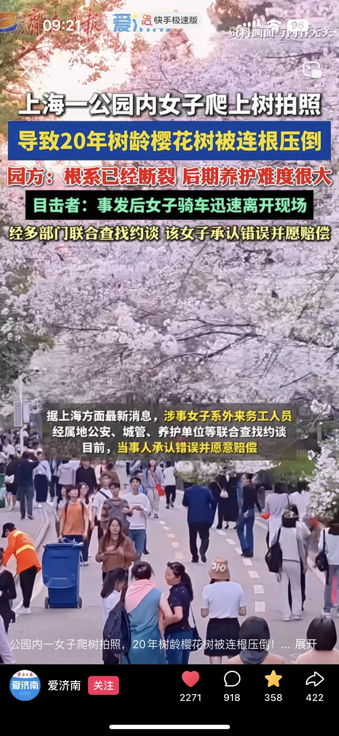 长了20多年的树，这么弱不禁风吗？上海一公园内女子为了爬到树上拍照导致20年树