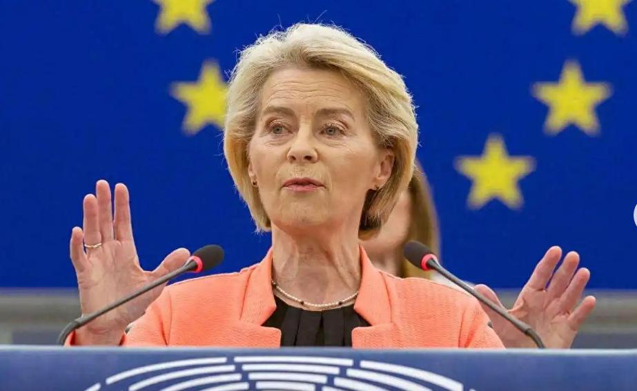 冯德莱恩刚拿到稀土许可。转头就对中国企业动手。这招玩得有点急。又是调查又