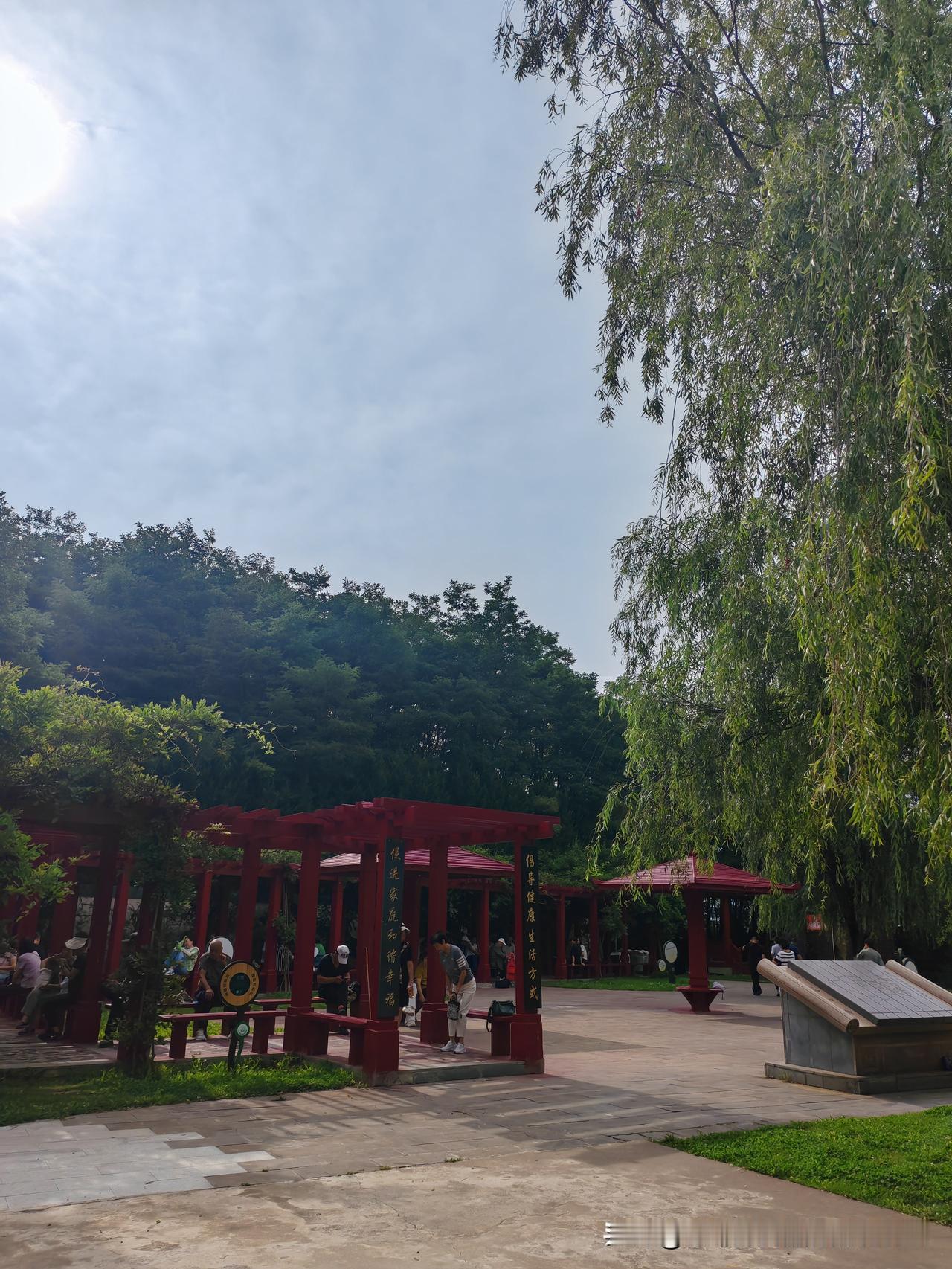 孩子上不了大学家长愁！上了大学出来找不到工作家长愁！先生昨天从单位回来，