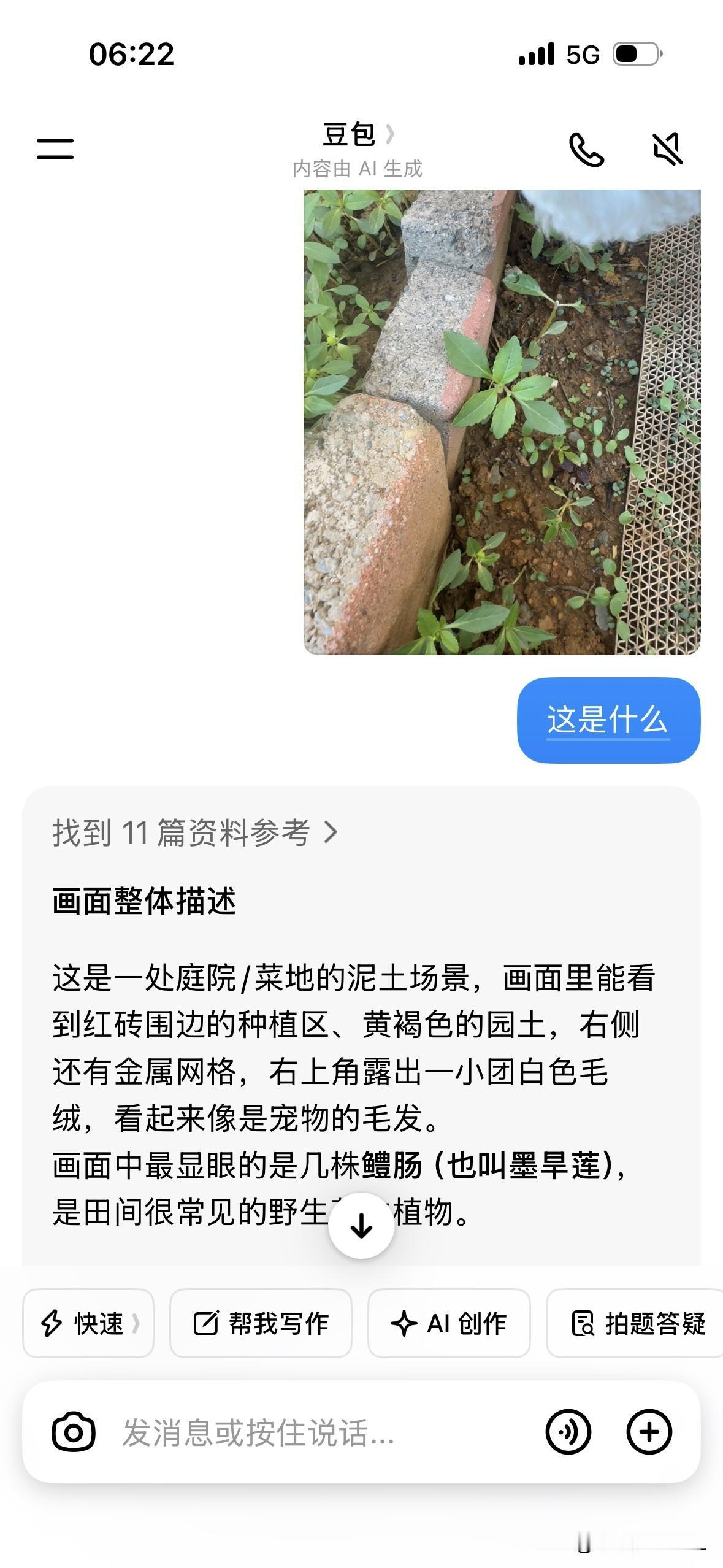 豆包，真的太聪慧啦！早上我下楼去遛狗，小狗在那儿啃着草。我走上前去一瞧，说实话