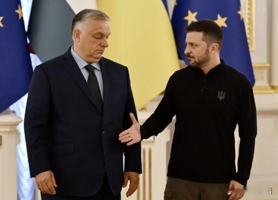 泽连斯基动作超快！欧尔班刚打电话认输没多久，泽连斯基就抢先发推祝贺彼得·马加尔和