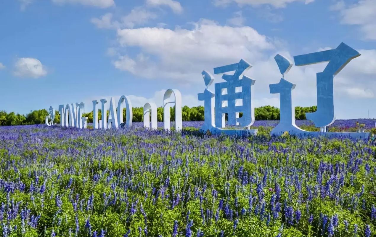 通辽2025年财政增长优异！2025年通辽全市地方财政收入完成125.7亿元