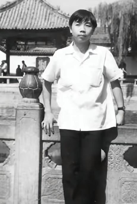 背叛者之耻：从北大才子到日本右翼走狗的堕落之路