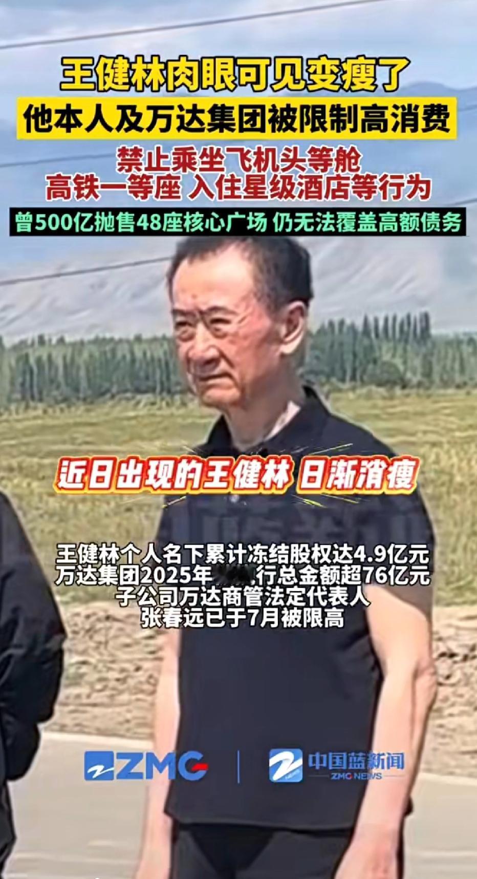 70岁王健林被“限高”？别急着笑，真相是：他连私人飞机都进不了自家机场！原来