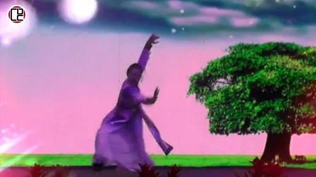 第十届桃李杯 东北秧歌组合+佤族组合 高清完