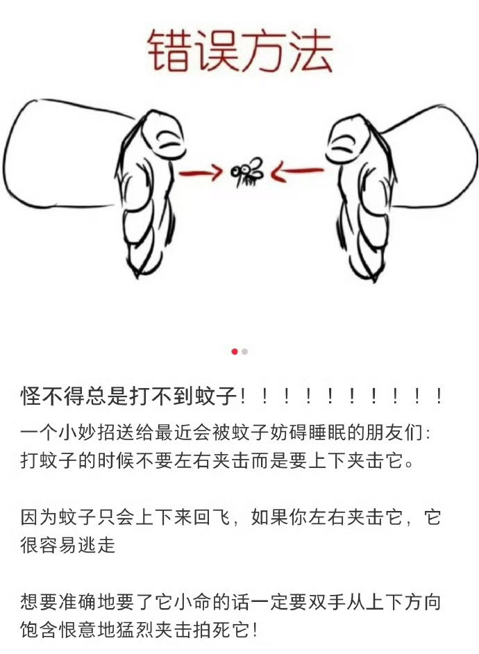 啊？原来这才是打蚊子的正确方法。
