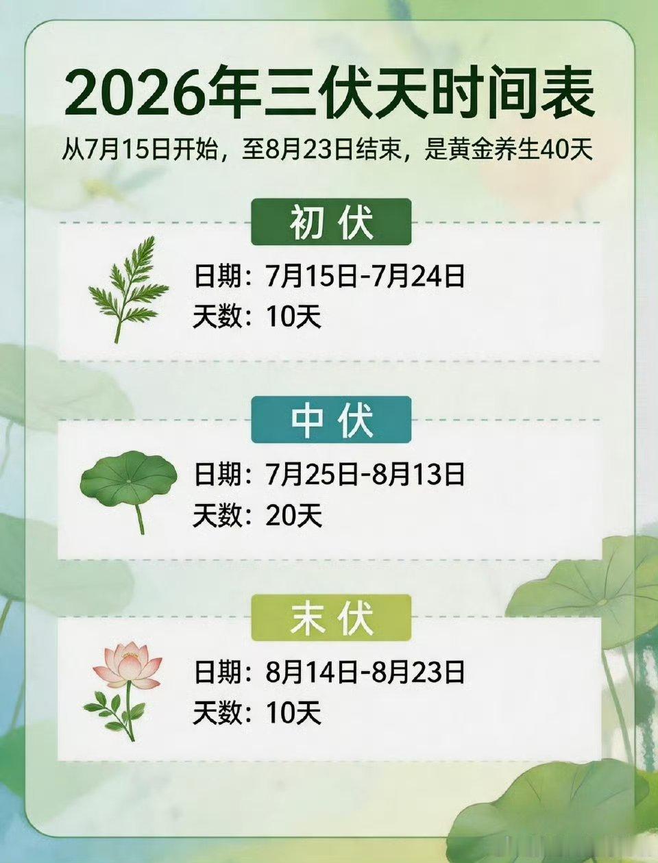 今年的三伏天居然有40天，从7月15日一直熬到8月23日，简直是“加长版”的湿热