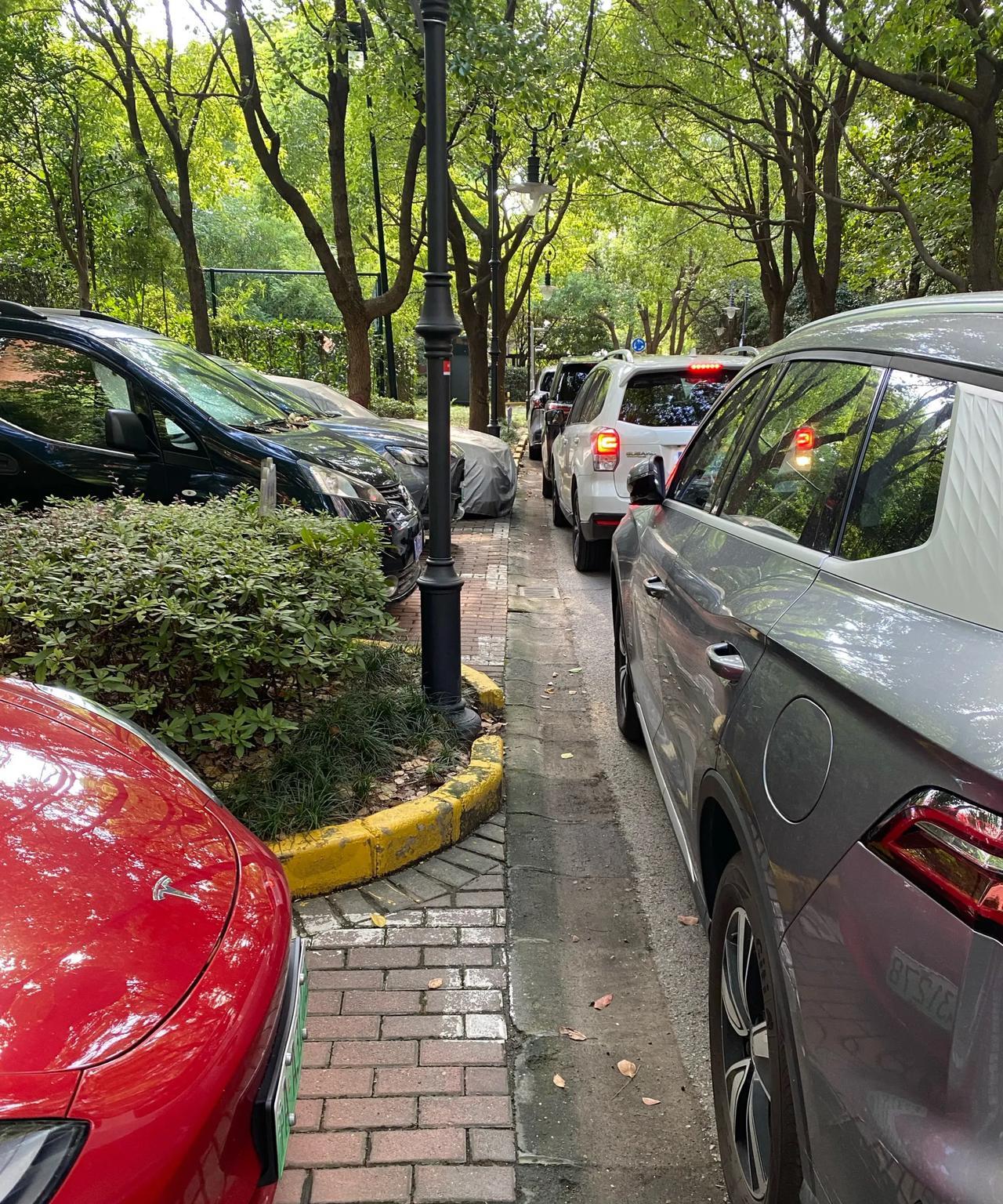真的是太倒霉了！遇到这种情况，你们都是怎么处理的？昨天晚上我老公去我公公家，他