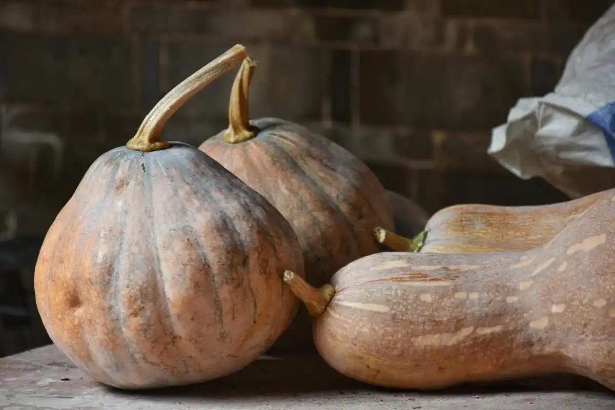 医生研究发现：经常吃南瓜的人，用不了多久，身体或有这4个变化一个刚退休不久的