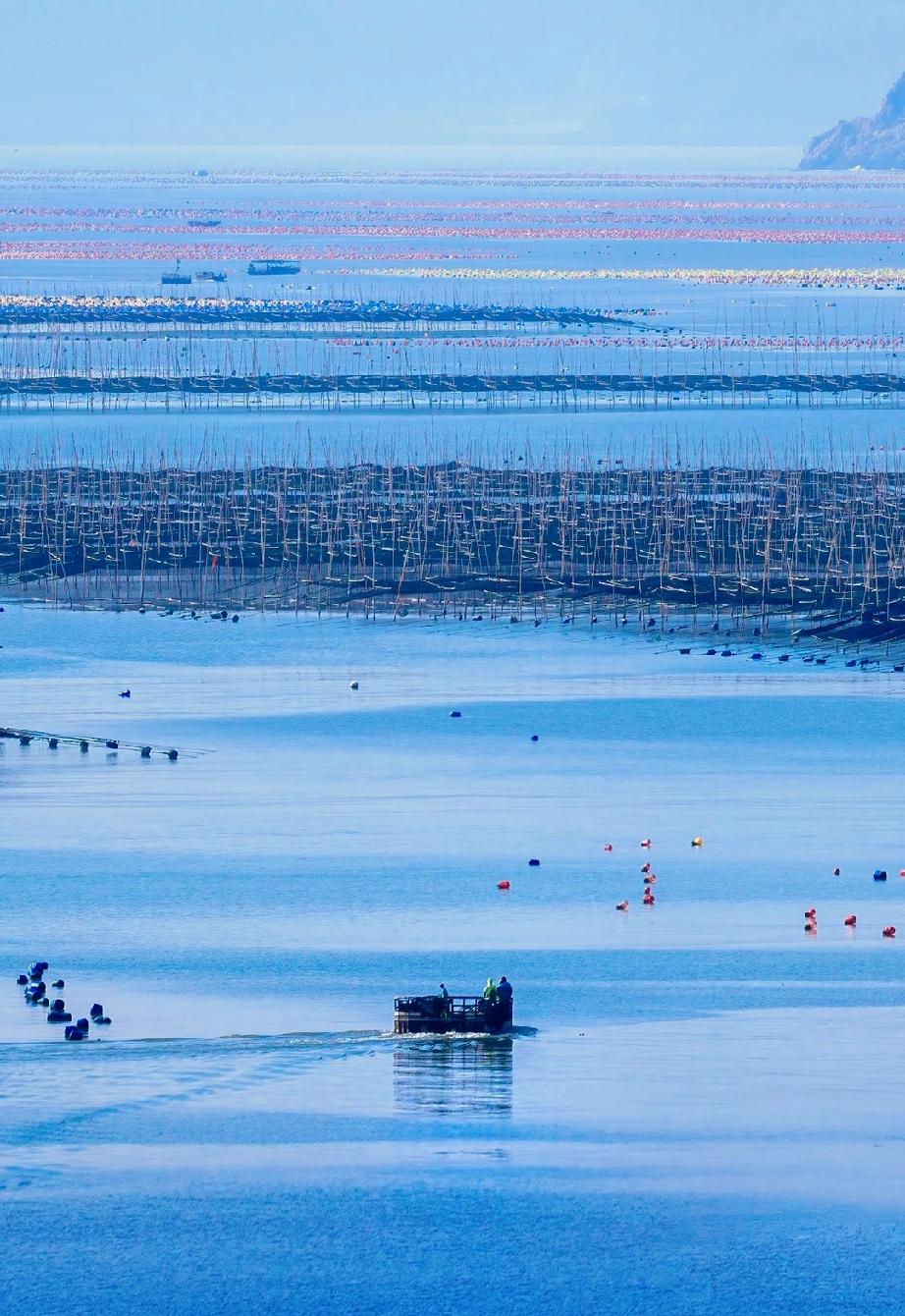男人要的，是感情；女人要的是感觉。​让女人念念不忘的是感情，让男人念念不忘的是感