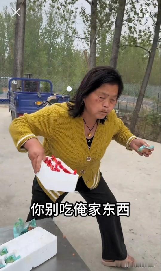 小乡村的故事！老壳子这次没有白来，她一口气下吃了四个毛蛋。她边吃边说