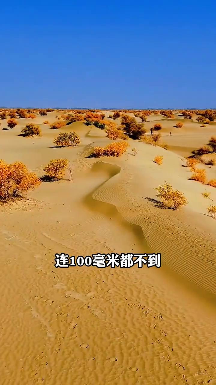塔克拉玛干沙漠竟然发洪水了。美国专家盯着卫星图像研究了3天3夜，始终不敢相信自