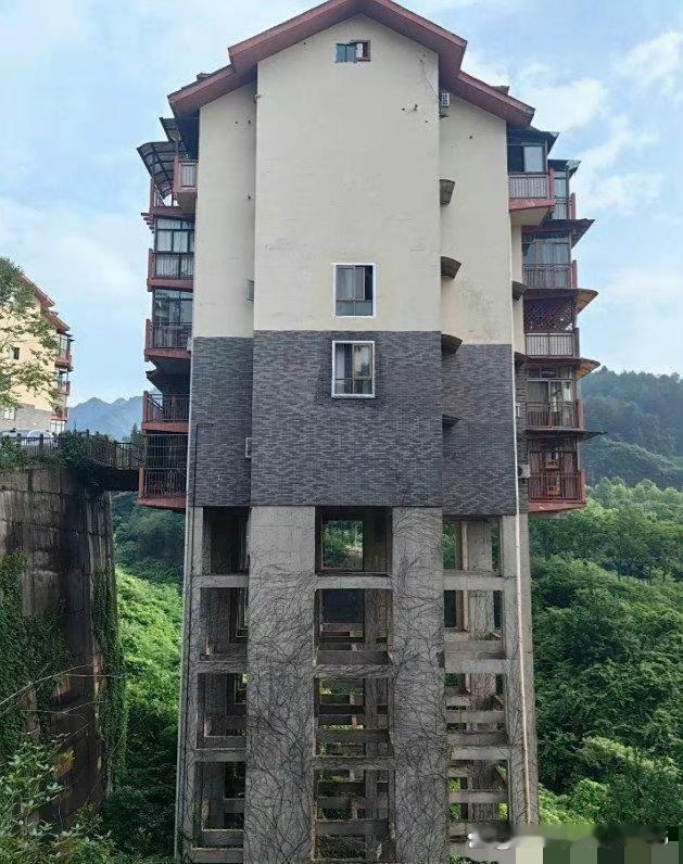 这个自建房盖的目的是什么？有会看的吗？