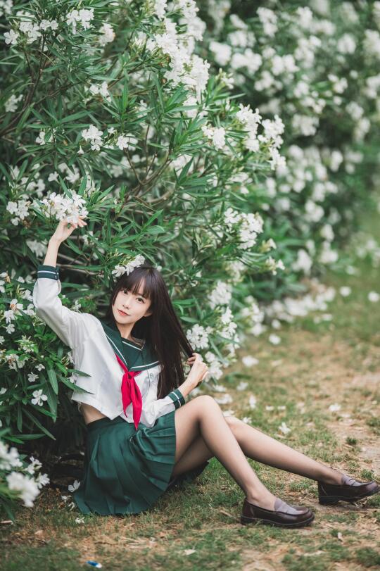 JK与初夏的夹竹桃丨为什么最迷人的最危险‼️