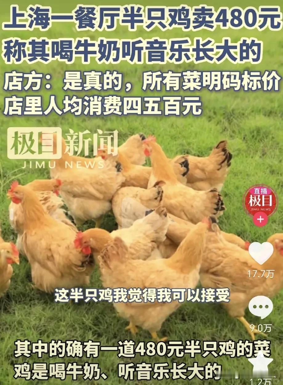 半只鸡卖480元？餐厅服务员：我们的鸡从小听音乐，喝牛奶长大的，养鸡成本高，这价