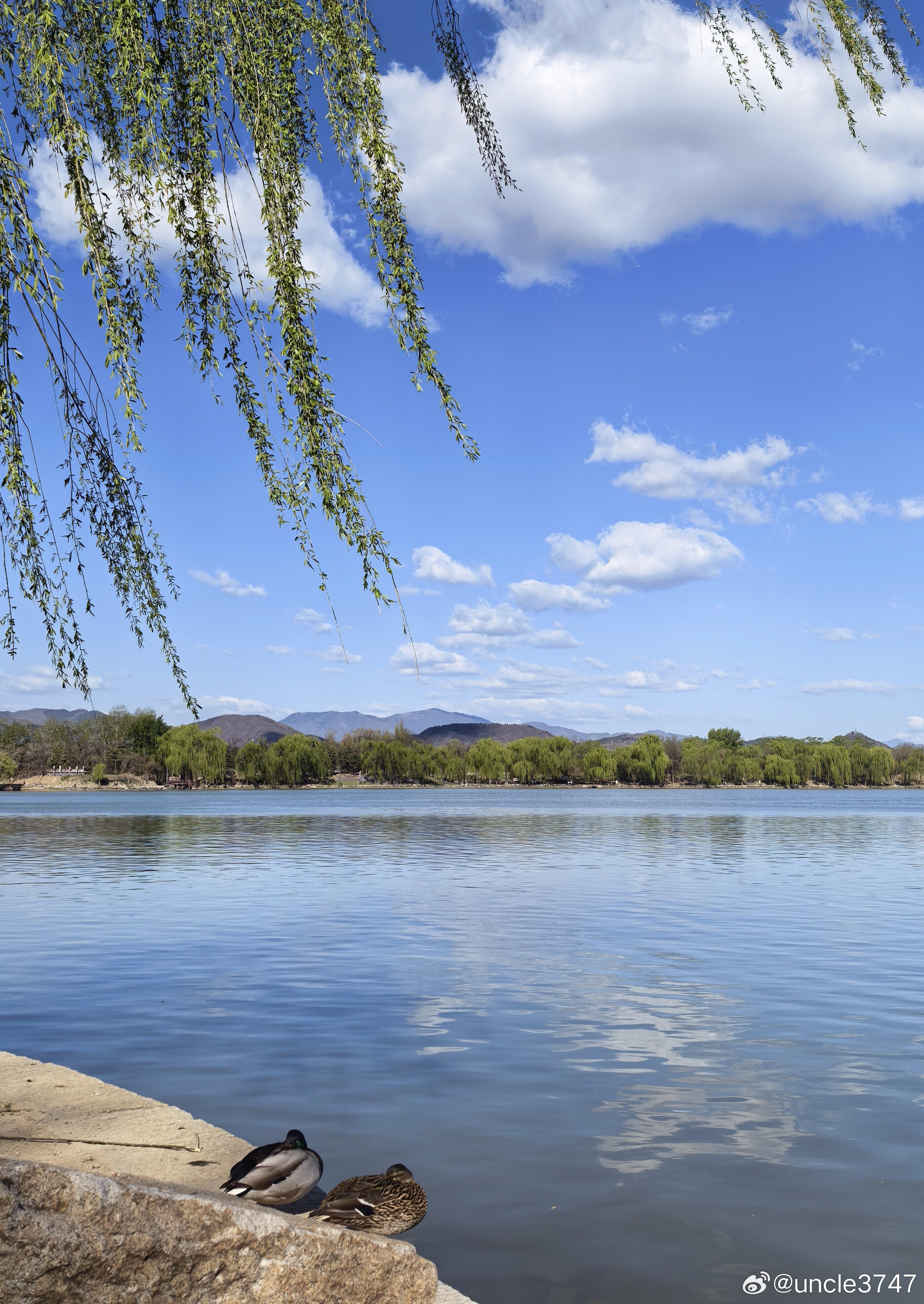 福海四月天，天高云亦淡…摄影