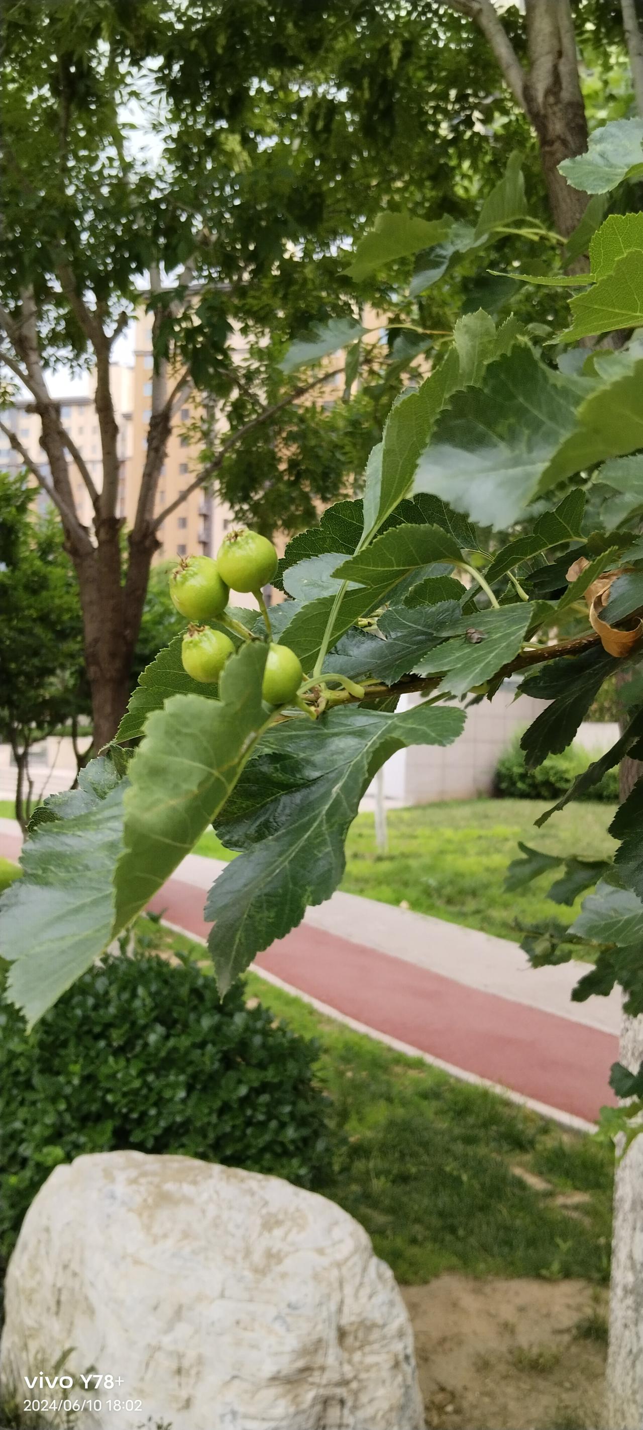 我们这里有一个安装空调的师傅，以前在工厂里打螺丝，对家电维修一窍不通。他嫌工厂