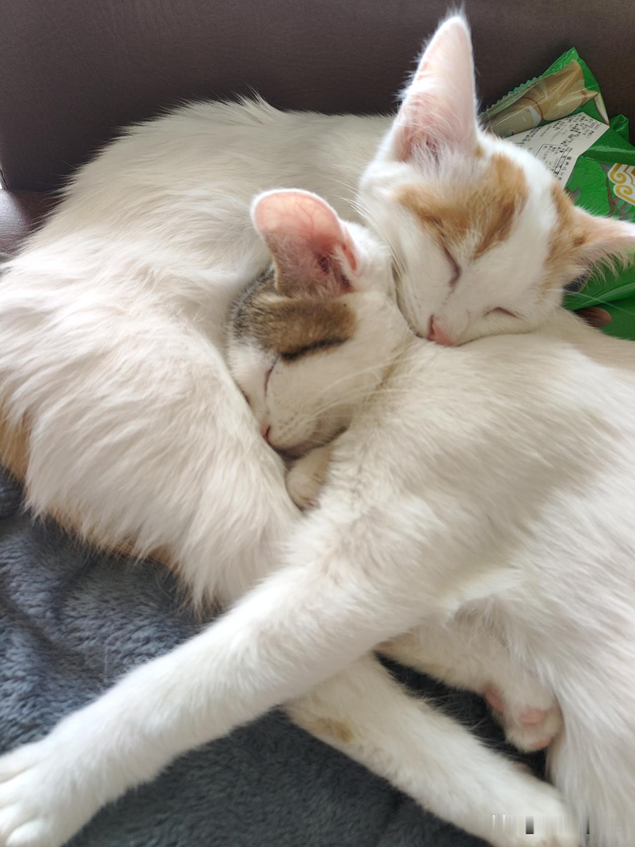 昨天回家的时候，发现上衣上莫名多了一片水渍，我还以为是小孩玩耍不小心倒上去的