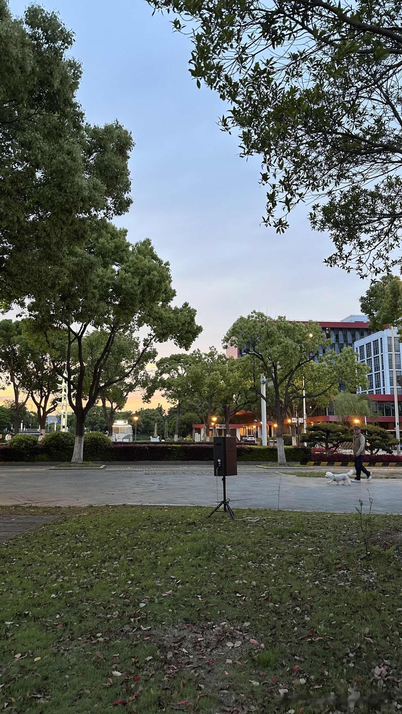 台北人在苏州，最近因为遛狗，在附近公园里结识了几位遛狗大妈，意外发现个个都是退休