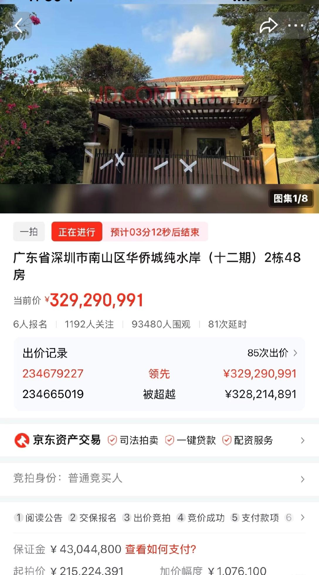 中国法拍房的新记录诞生了：3.3亿还在抢。看大佬们抢房太过瘾了，4千万保