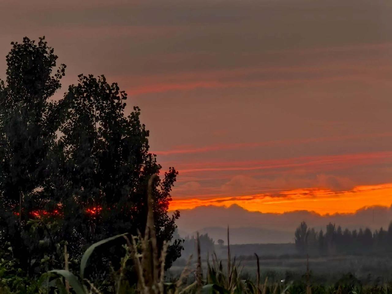 晒晒夕阳西下时的美丽景色夕阳🌇无限好，只是近黄昏！[呲牙笑]