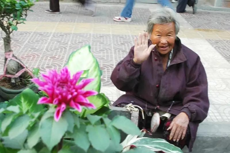 近日，云南省推出了一项贴心的新政，引起了广泛关注。根据云南省老龄委办公室的通知，