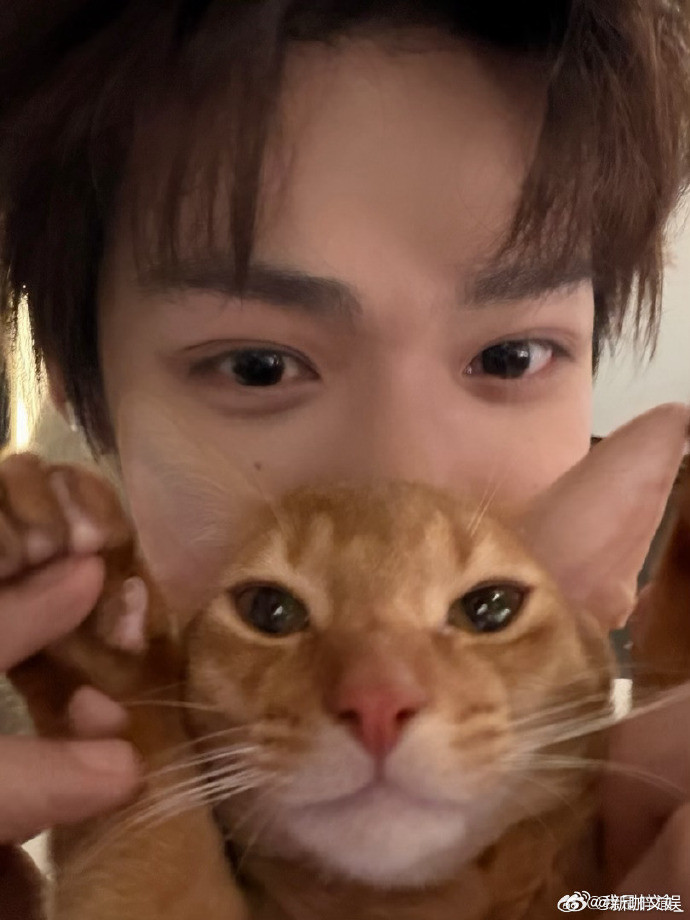 梓渝和大鱼小十一猫咪合照梓渝晒大鱼小十一合照今日份可爱暴击！梓渝晒出和大鱼小十一