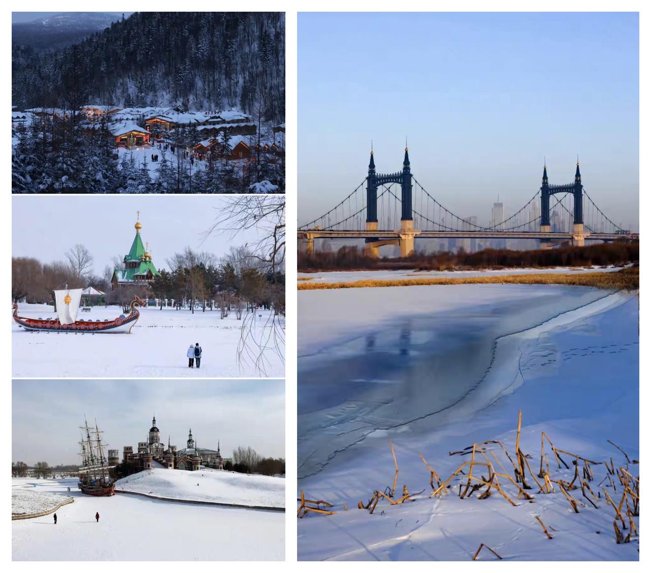 ✨在美国的华人如何躲过