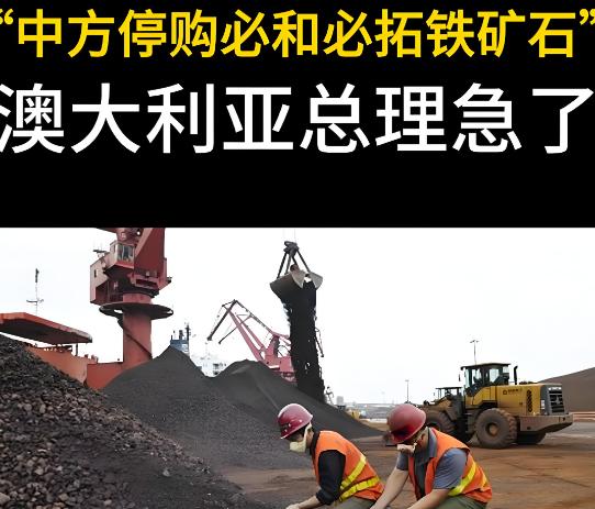 中国停买铁矿，澳洲急了！9月30号这天，中国矿产资源集团直接发了条通知