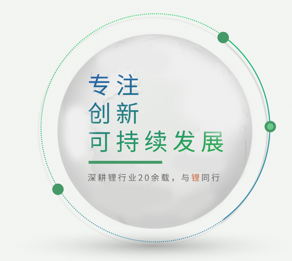 赣锋锂业副总裁何佳言指出，锂行业目前已触底，且正处于上升周期。他解释称，受限于资