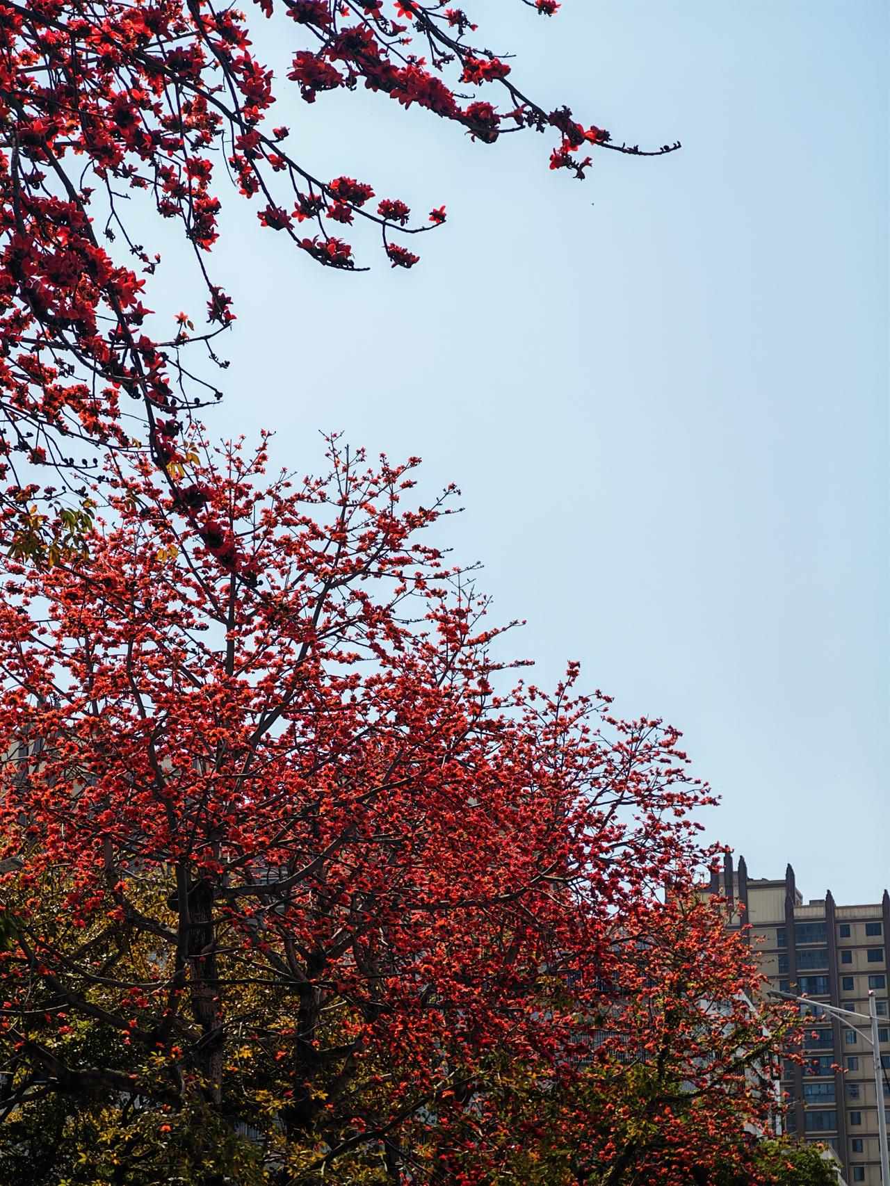 分享一下小时候被父母打得最惨的一次经历…我发现现在年轻家长面对不听话的孩子大