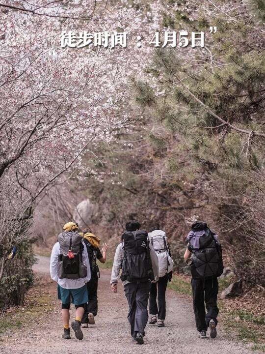 福州徒步组队｜莫奈的花园 古田花海轻徒步